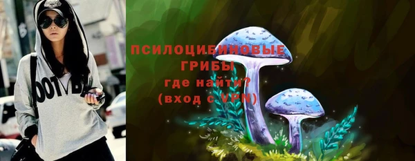 дмт Армянск