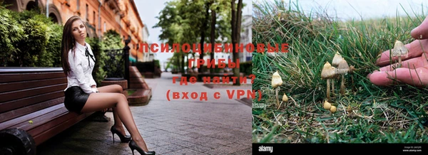 дмт Армянск