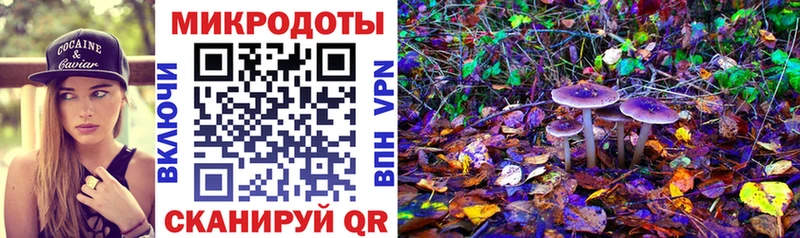 нарко площадка официальный сайт  Ахтубинск  Псилоцибиновые грибы Cubensis  закладки 